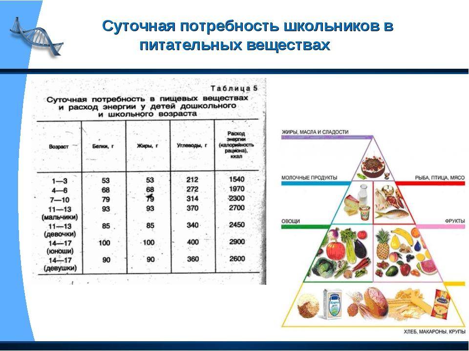 Топ - 10 самых полезных продуктов для волос: правила здорового питания и полноценный рацион