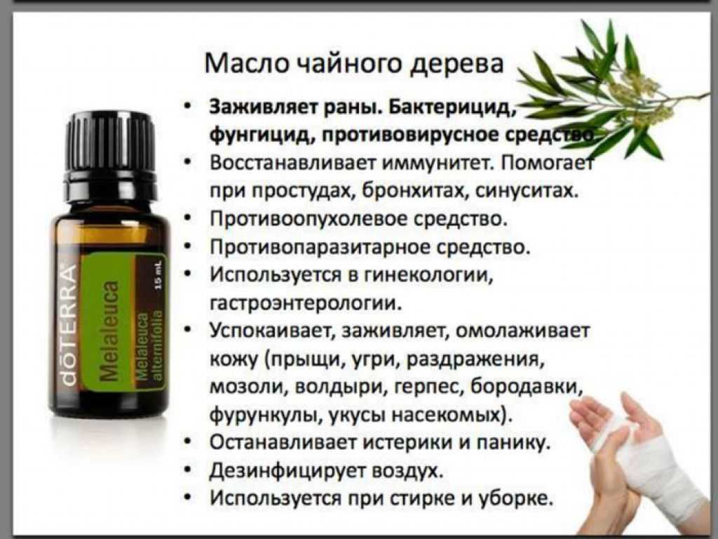 Масло чайного дерева от перхоти: отзывы и особенности применения
