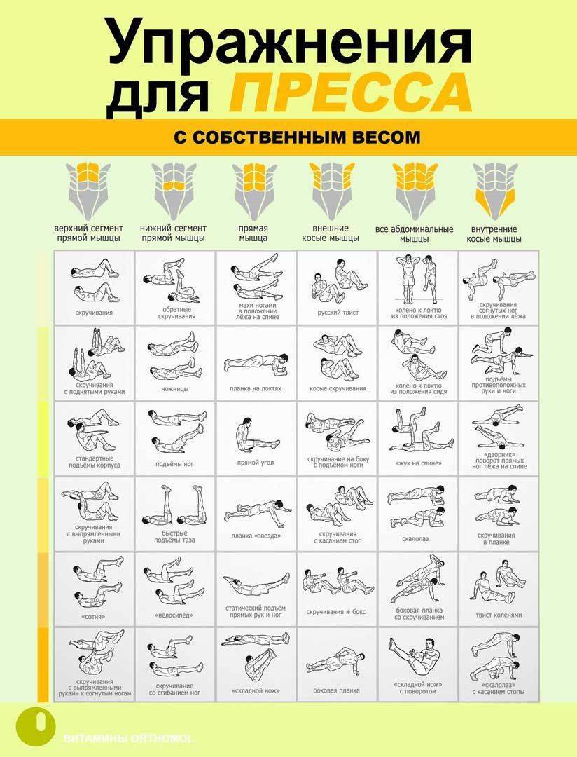 Упражнения для пресса