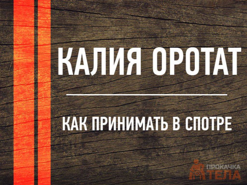 Калия оротат в бодибилдинге: незаменимое средство | vseoallergii.ru