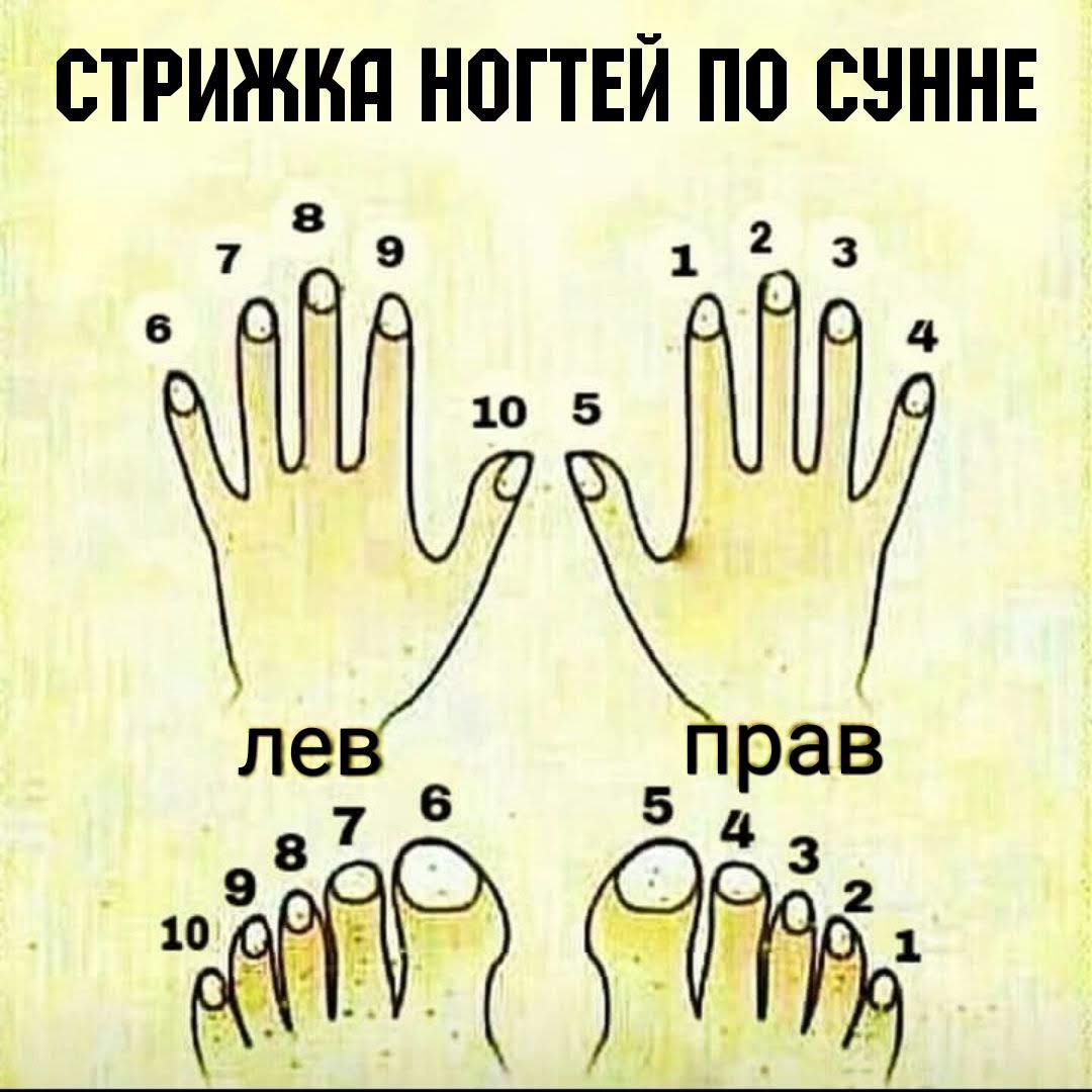 Когда стричь ногти: маникюр по дням недели, почему не стригут ногти ночью и когда подстригать ногти ребенку