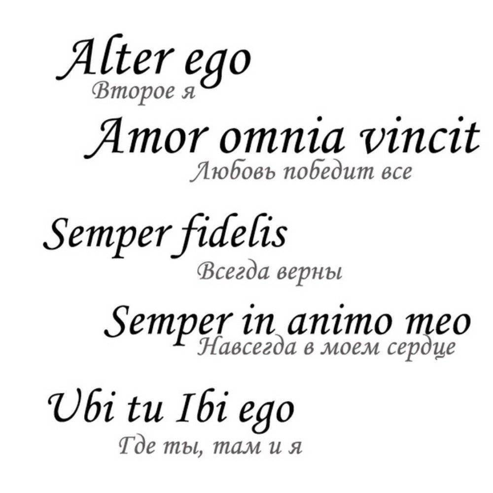 Переводчик на латынь для тату. Порноактриса аллей Баггетт. Татуировки надписи с переводом. Красивые фразы для татуировок.
