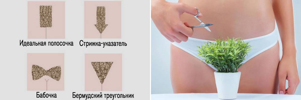 Интимные стрижки, создание прически в зоне бикини