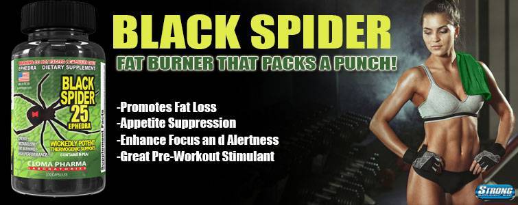 Жиросжигатель black spider 25 ephedra, как принимать, инструкция по применению, состав и отзывы