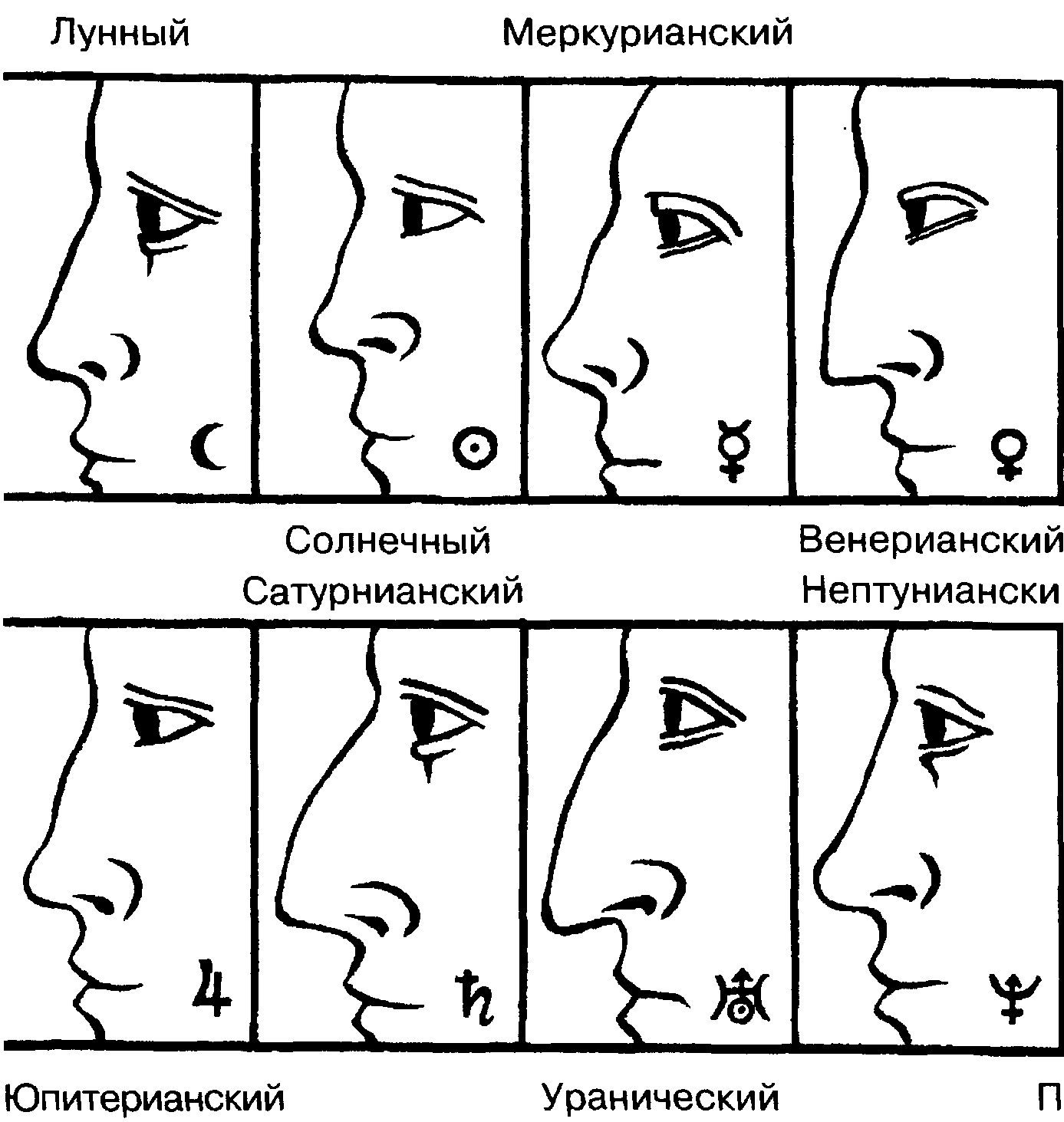 Большой нос: причины возникновения, методы коррекции без операции и с помощью пластической хирургии