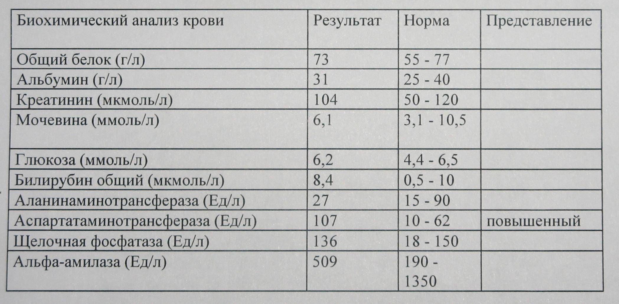 Биохимический анализ крови: расшифровка у взрослых
