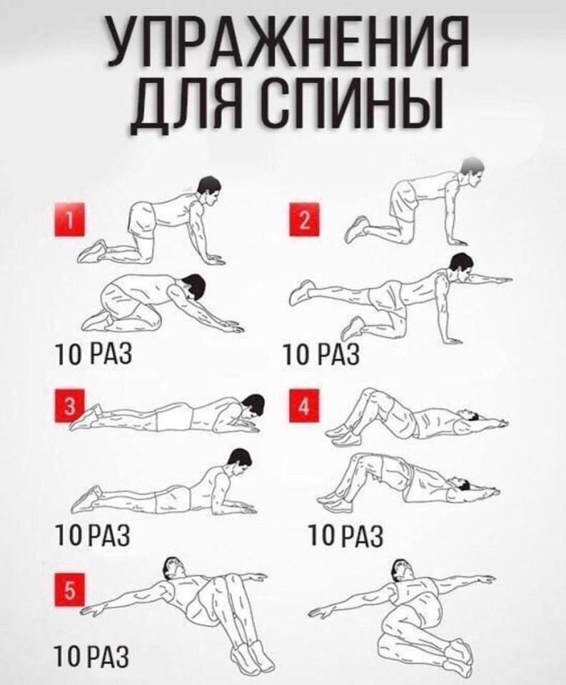 Как накачать мышцы спины дома без тренажеров