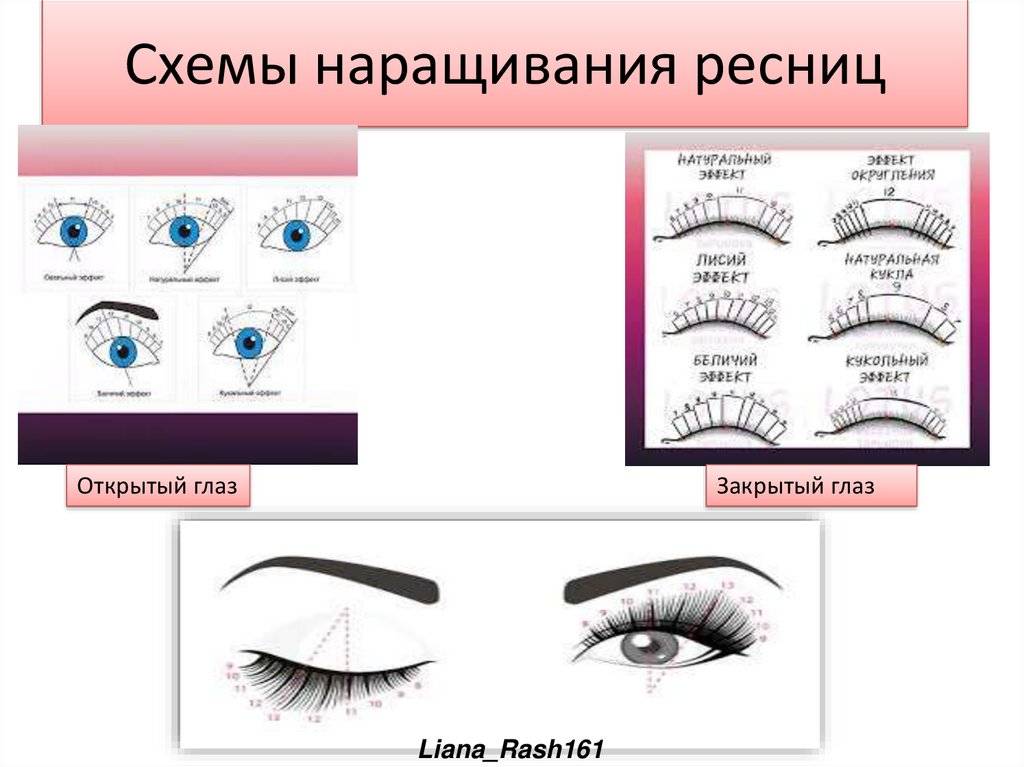 Схемы по наращиванию ресниц: технология и правила выполнения