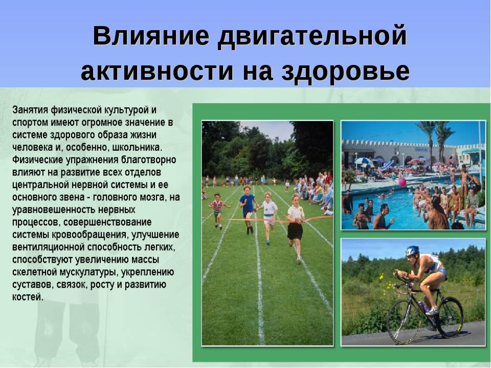 Спорт и здоровье: влияние физкультуры на организм человека