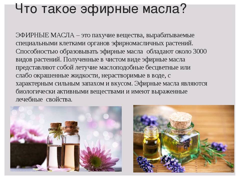 Масло чайного дерева для волос - свойства и рецепты применения