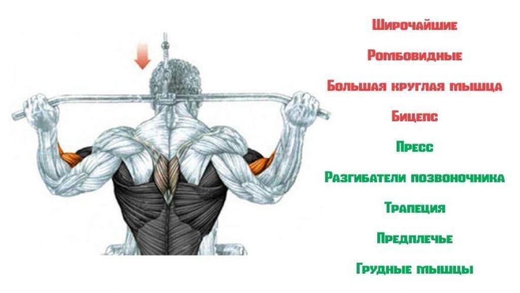 Тяга верхнего блока к груди