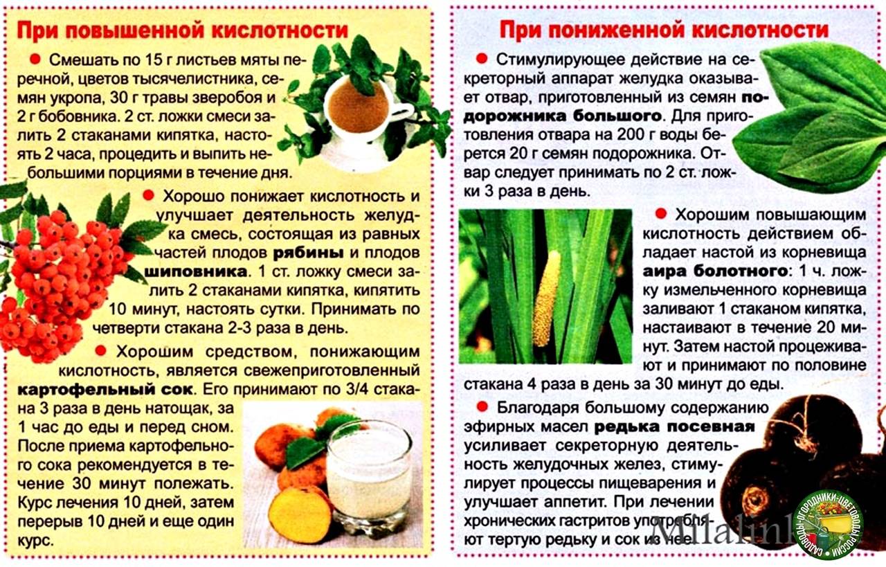 Лекарственные препараты для лечения ожирения: справочник первостольника