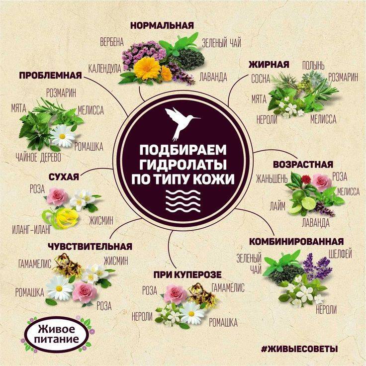Питательные маски для лица: рецепты в домашних условиях и отзывы
