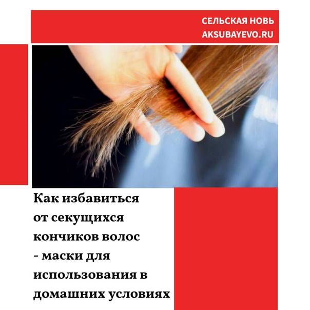 Маски для кончиков волос в домашних условиях – лучшие рецепты