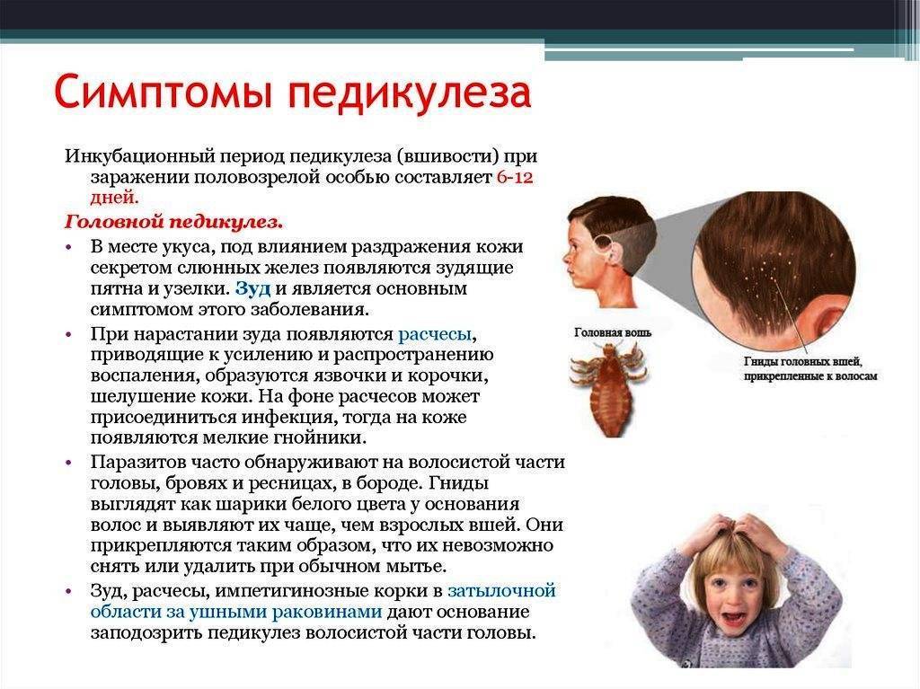 Лечение остриц у кормящей мамы