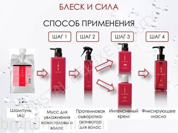 Абсолютное счастье для волос lebel- пошаговая процедура