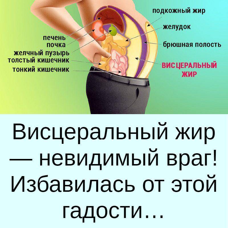 Как убрать жир с живота? гайд по продуктам