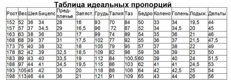 Идеальная фигура. женская антропометрия