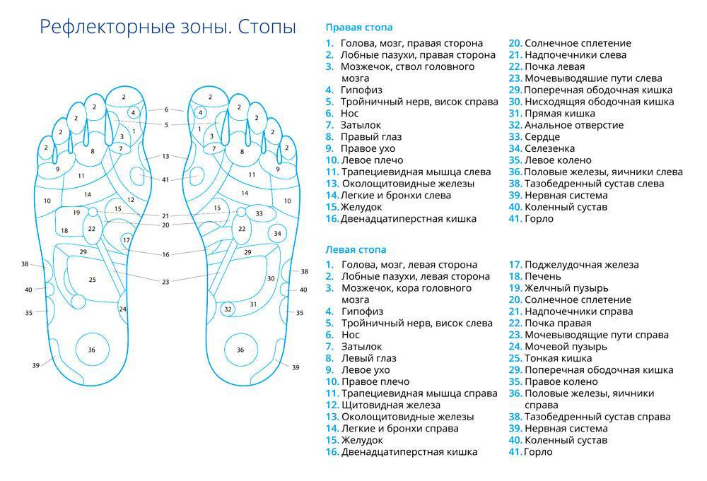 Проекции внутренних органов на стопе