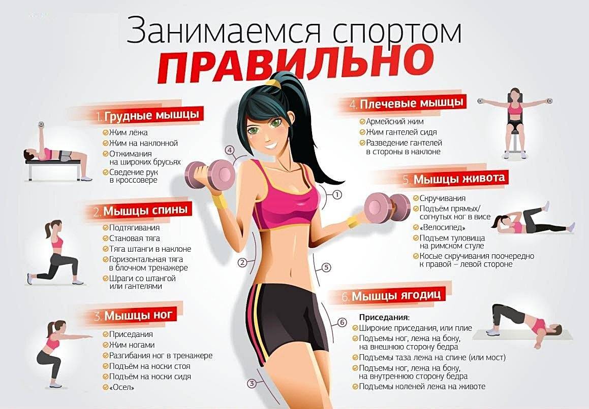 Как похудеть без диет и спорта: образ жизни, сколько калорий, что есть