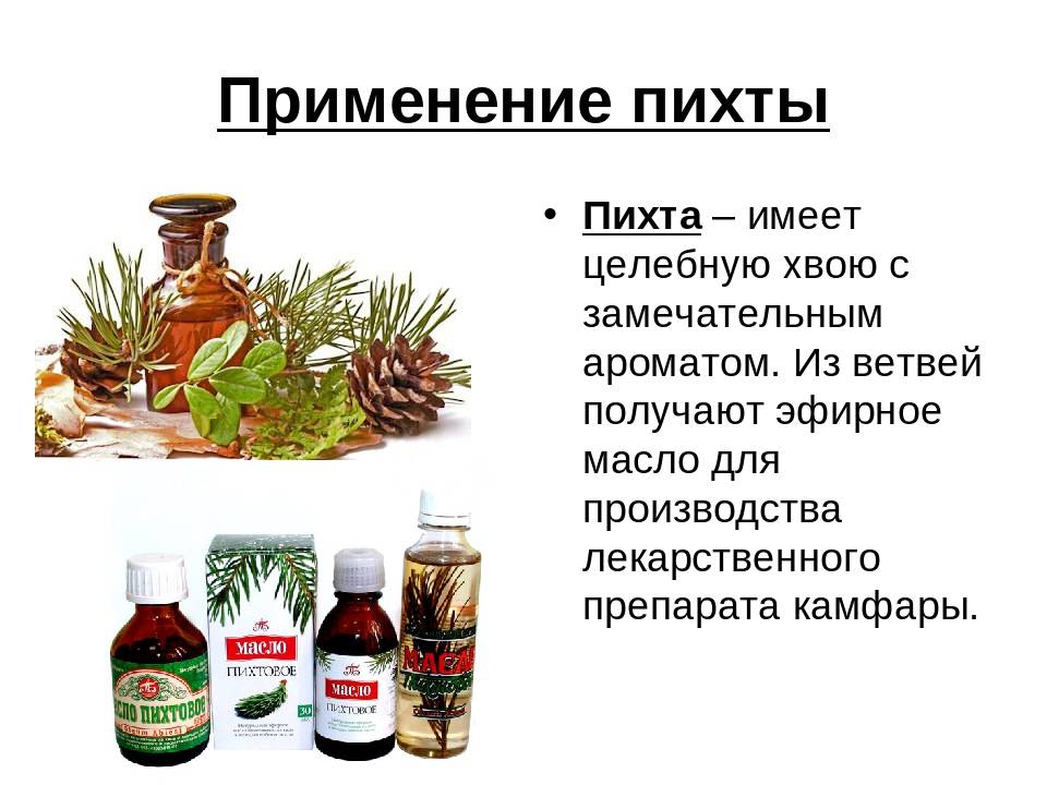Пихтовое масло: применение, состав и свойства, рецепты